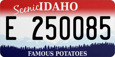 ID license plate E250085
