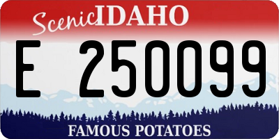 ID license plate E250099