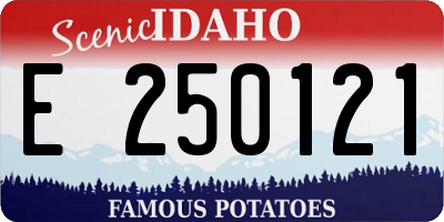 ID license plate E250121