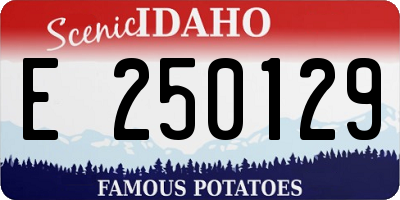ID license plate E250129