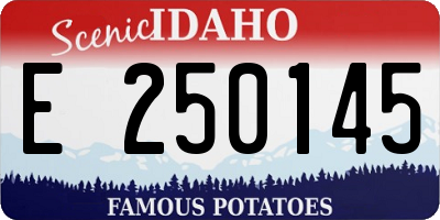 ID license plate E250145