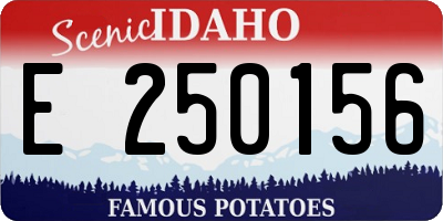 ID license plate E250156