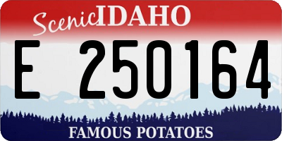 ID license plate E250164