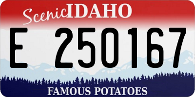 ID license plate E250167