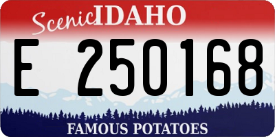ID license plate E250168
