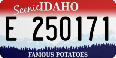 ID license plate E250171