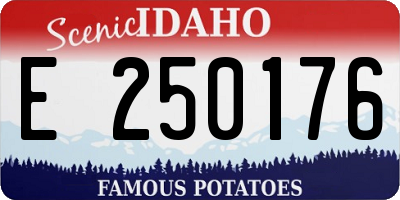 ID license plate E250176
