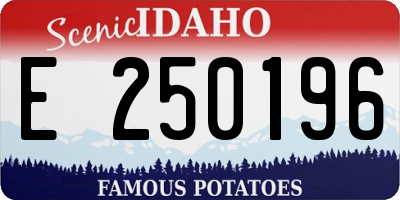 ID license plate E250196