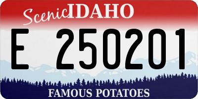 ID license plate E250201
