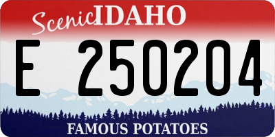 ID license plate E250204