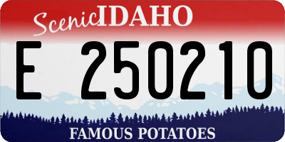 ID license plate E250210