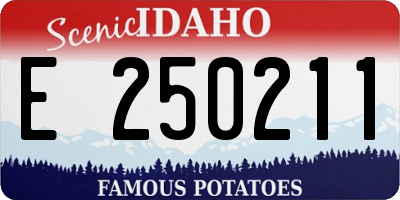 ID license plate E250211