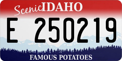 ID license plate E250219