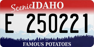 ID license plate E250221