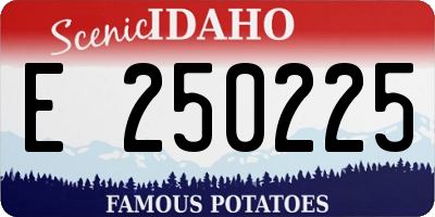 ID license plate E250225
