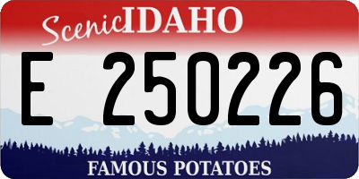 ID license plate E250226