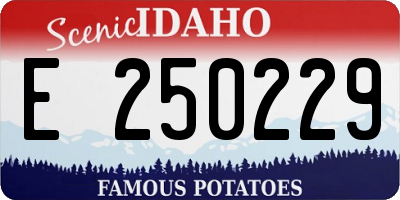 ID license plate E250229