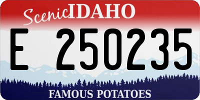 ID license plate E250235