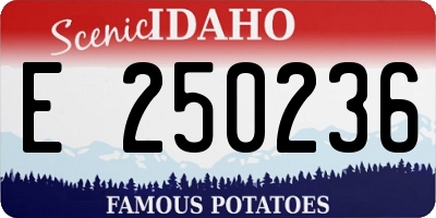 ID license plate E250236