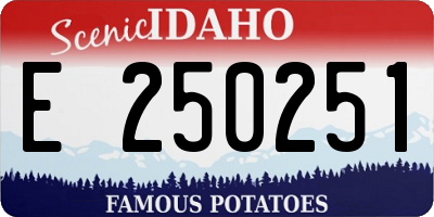 ID license plate E250251
