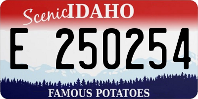 ID license plate E250254