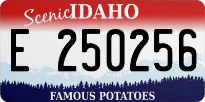 ID license plate E250256