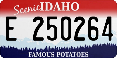 ID license plate E250264