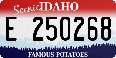 ID license plate E250268