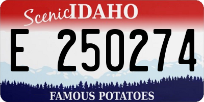 ID license plate E250274