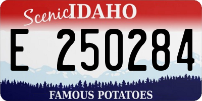 ID license plate E250284
