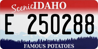 ID license plate E250288