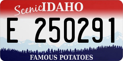 ID license plate E250291