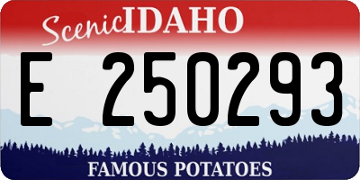 ID license plate E250293