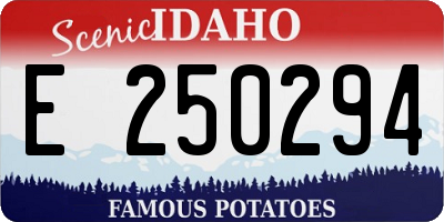 ID license plate E250294