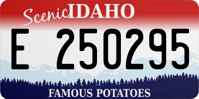 ID license plate E250295