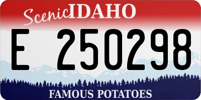 ID license plate E250298