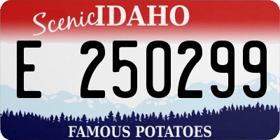 ID license plate E250299