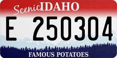 ID license plate E250304