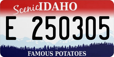 ID license plate E250305