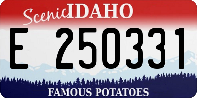 ID license plate E250331