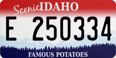 ID license plate E250334