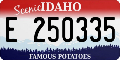 ID license plate E250335
