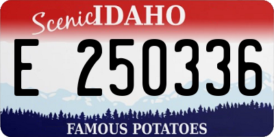 ID license plate E250336