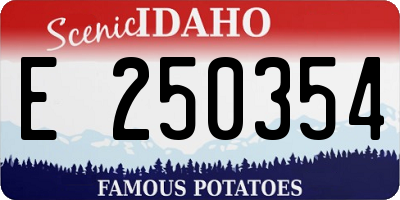 ID license plate E250354