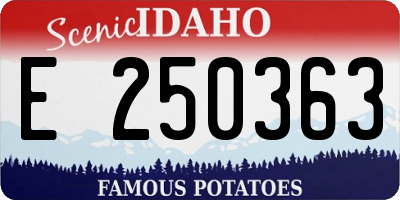 ID license plate E250363