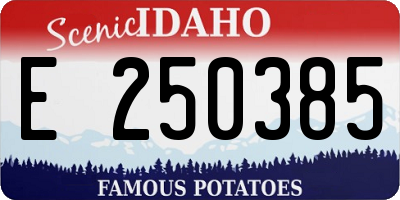 ID license plate E250385