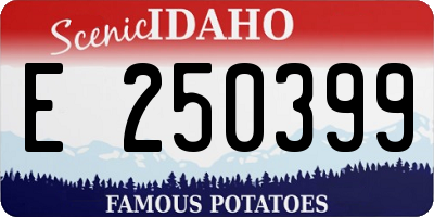 ID license plate E250399