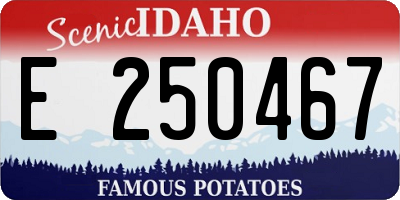 ID license plate E250467