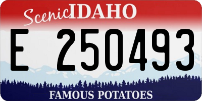 ID license plate E250493