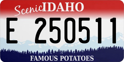 ID license plate E250511